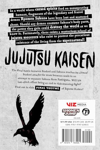 Image of Jujutsu Kaisen, Vol. 30