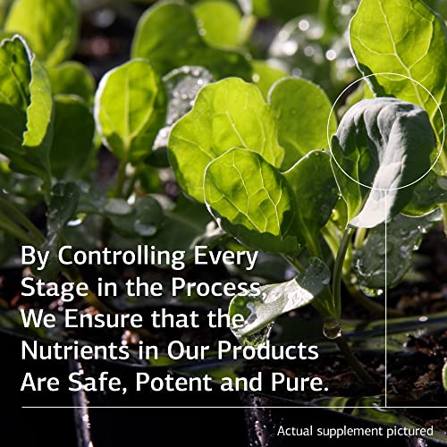 Standard Process Congaplex - Whole Food Rna Supplement, Antioxidant, Immune Support With Thymus, Shiitake, Reishi Mushroom Powder, Organic Sweet Potato, Wheat Germ, Vitamin A And More - 90 Capsules #TOP4