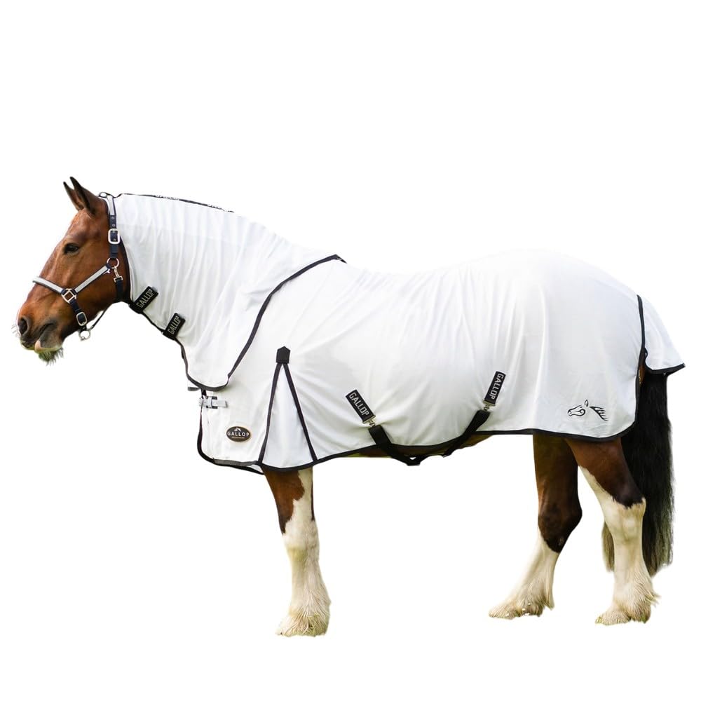 Gallop Dual Fly Rug & Neck Set, 6ft6