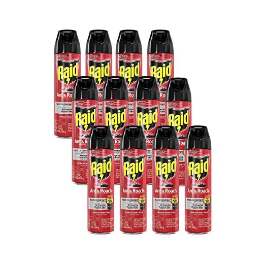 Raid Ant & Roach Killer Spray, 17.5 Oz