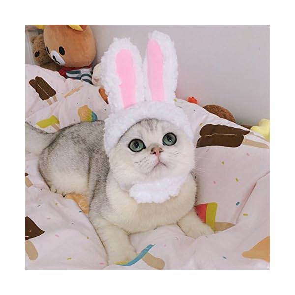 Orgrimmar plush bunny ears pet headband,rabbit ear hat for cat small dogs party costume accessory headwear - image 6