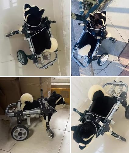 Jievmrs Hunderollstuhl Hunderollstuhl mit Voller Unterstützung und 4 Rädern, Kleiner/Mittlerer/Großer Haustierwagen Zum Spazierengehen, Gehhilfe für Behinderte Hunde mit Beintrainingsschiene(L)