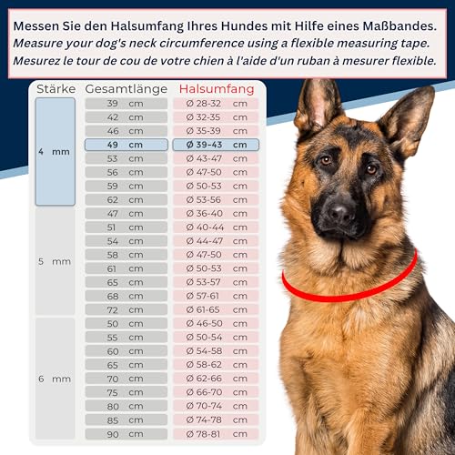 Kombikette für Hunde mit Halsumfang 53-56 cm aus Edelstahl V4A Hundekette mit Zugstop Kettenhalsband langgliedrig 4mm dick und 62 cm Gesamtlänge