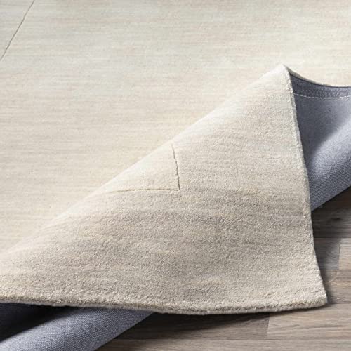 Hauteloom Ronkonkoma Wool Hallway, Kitchen Runner Rug - Solid & Border - Beige - 2'6" X 8' #TOP5