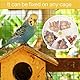 Haisheng 1 Set Drehbar Papageien Spielzeug Vogelfutterspielzeug Papageien Fütterung Spielzeug Futterschale kreativ Vogel Kauspielzeug für Vögel Futtersuche Spielzeug Intelligenz Spielzeug (13CMx3.5CM)