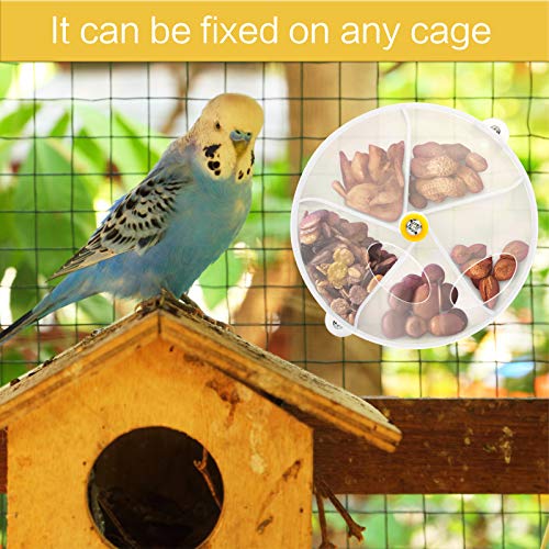 Haisheng Foerageren Speelgoed Wiel Papegaai Foerageren Doos Papegaai Foerageren Speelgoed Papegaai Puzzel Feeder Spins… - Afbeelding 3