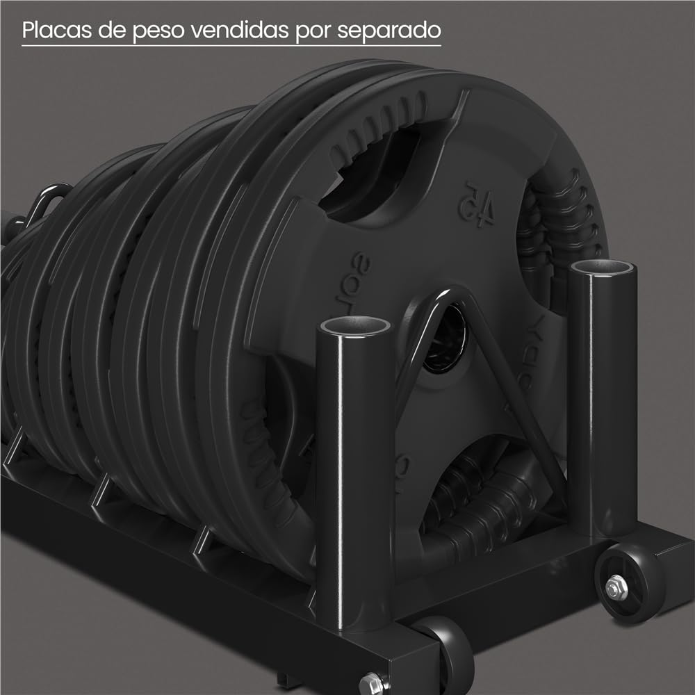 Yaheetech Soporte para Discos Olímpicos Horganizador de Placas | Organizador de Pesas Discos, de 4 Ranuras para Placas, Soporte de Planchas para Fitness Gym Negro