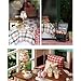 Kisoy Romantic and Cute Dollhouse Miniature DIY House Kit Creative Room Perfect DIY Gift for Friends,Lovers and Families(France Cafe Tour)