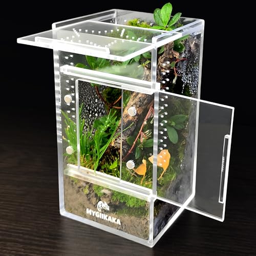 Image of MYGIIKAKA Jumping Spider Enclosure Accessories, Tarantula Spider Box, Bug Cage, Praying Mantis Habitat Enclosure, Snail Insect Terrarium, Caterpillar Habitat (3x3x6 inch)