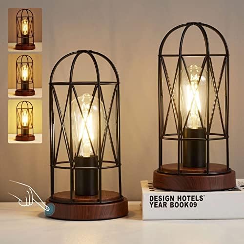 RAYINIGHT Industrial Table Lamp Set of 2, Small Touch Control Edison Desk Lamp 3 Way Dimmable Vintage Bedside Lamp Metal Cage Steampunk Nightstand Lamp for Living Room,Bedroom or Den