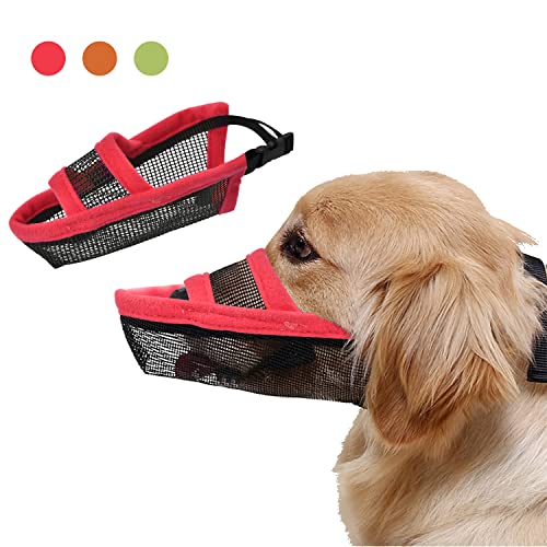 Top 10 Best Muzzle For Golden Retriever Reviews & Buying Guide Katynel