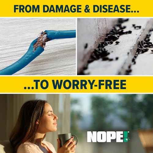 NOPE! Rat Killer Grain Bait 6 x 25g & Bait Box With Key | Super Strength Rodent Poisoning Sachets & Lockable Tamper-Resistant Bait Box | Works Indoors & Outdoors In All Weather - Image 4