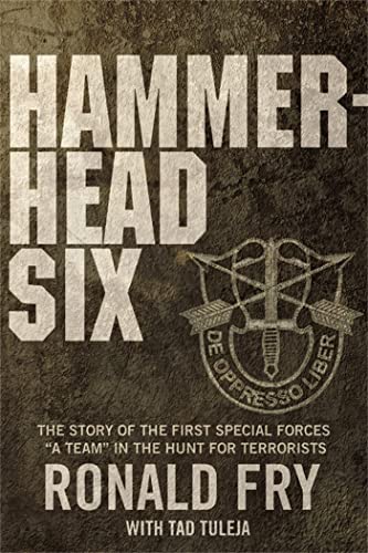 Hammerhead Six view 2