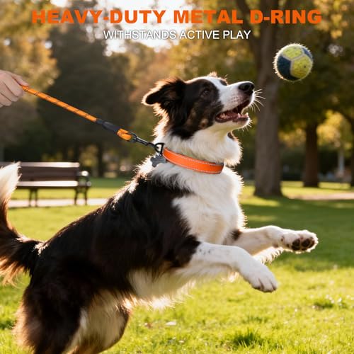 Image of Taglory Reflective Dog Collar for Medium Dogs, Padded Nylon with Buckle