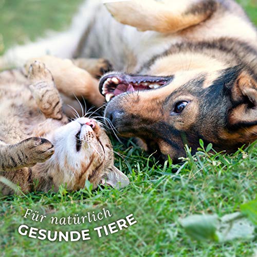 AniForte Kokosöl für Tiere 1000ml, Kaltgepresst, Nativ, Kontrollierte Premium Qualität, Schutz, Ergänzung und Pflege für Fell, Kokosnussöl Kokosfett für Hunde, Katzen und Haustiere, Kokos Öl flüssig