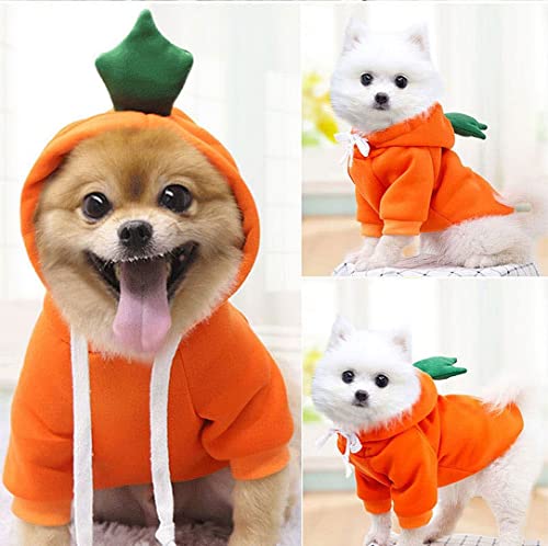 Chezabbey Dog Hoodies Pet Fruit Clothes Outfit Cat Warm Winter Sweater Coat Pullover Clothing Doggie Hooded Sweatshirts Puppy Apparel Cold Weather Costume For Chihuahua Small Medium Dogs #TOP5