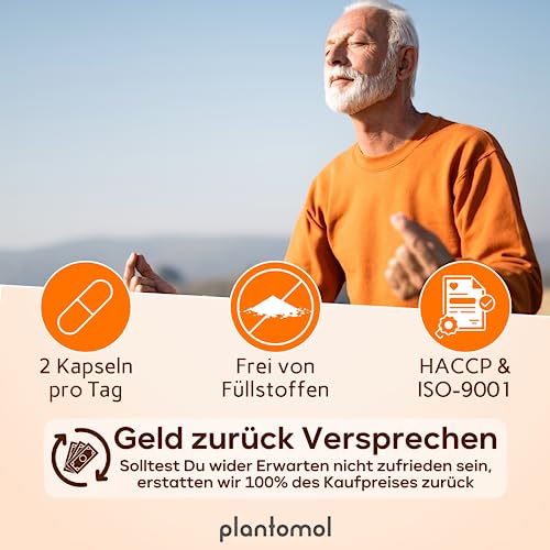 plantomol® 120 Prosta Fortuna Kapseln mit 700mg Kürbiskern-Extrakt 600mg Sägepalmen-Extrakt und Beta Sitosterol - 9 abgestimmte Inhaltsstoffe - natürliche Prosta Kapseln hochdosiert - vegan – Bild 6