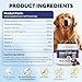 Allergy Relief Chews for Dogs Omega-3 Fish Oil Chewable Supplement with Probiotics for Itchy Skin and Hot Spots Allergies Relief, Paw Licking, Dry Skin & Coat Supplement Itching Relief Bites - 120 Ct