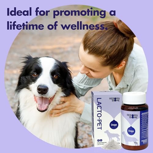 Image of Lacto Pet, Vegetable Dog Probiotics Powder and Digestive Enzymes - Pollack Flavor, Supports Immune Function, Digestive Support, Digestive Health Diarrhea, Helps Control Binge Eating & Weight, 2.1oz.