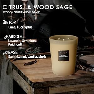 HomeLights Scented Candles, Candles for Home Scented, Large Jar Aromatherapy Candles, Natural Soy Wax, 130 Hours Long Burning Candles Gift, Citrus & Wood Sage HomeLights Scented Candles Candles for Home Scented Large Jar Aromatherapy Candles Natural Soy Wax 130 Hours Long Burning Candles Gift Citrus Wood Sage