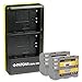 Produktbild PATONA Dual Schnell-Ladegerät + 2x Akku EN-EL3E für Nikon D700 D300 D200 D100 D90 D80 D70 D50 inkl.Micro USB Kabel