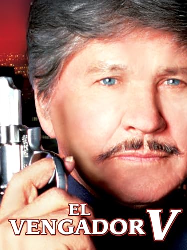 El justiciero de la ciudad V