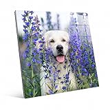 Picture Wall Art Your Photo on Custom Glass 12 x 12 Square Print