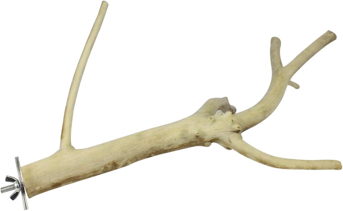 Multi-Branch Perch (Small) - Durable Natural Climbing Branch Perch Cage Accessory - Sugar Gliders, Squirrels, Prairie Dogs, Degus, Marmosets, Monkeys, Parrots, Birds, Rats, Reptiles, Amphibians