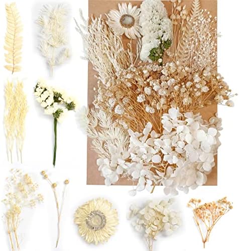 PATIKIL Fleur Pressée Séchée, 60 Pièces Pour Résine Bricolage