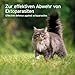AniForte Ectoprotex cat Spot On für Katzen 50 ml - Zeckenschutz & Parasitenabwehr, langanhaltendes Repellent zur Abwehr von Zecken, Flöhen, Milben, Effektive Zeckenabwehr