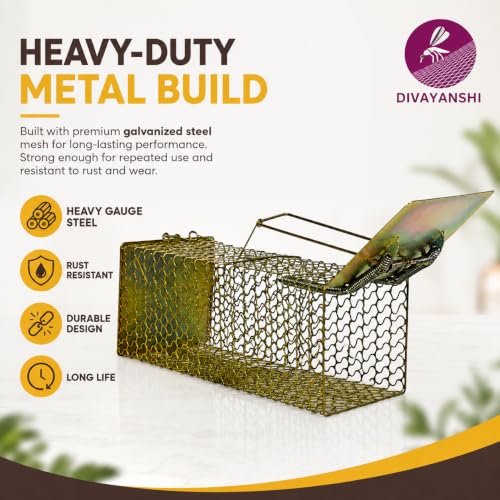 Image of Divayanshi Heavy-Duty Rat Trap - Reusable Humane Rodent Catcher for Mice & Rats, Strong Spring Mechanism, Easy to Set & Clean, Indoor & Outdoor Use (9 inch)
