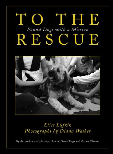 To the Rescue: Found Dogs with a Mission