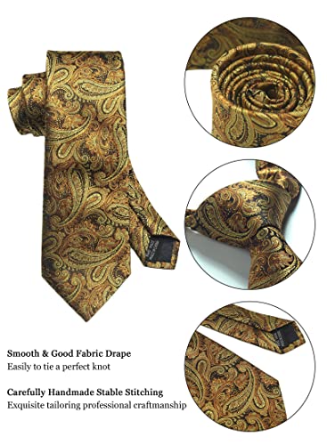 Image of Paisley Floral Mens Tie Formal Necktie Pocket Squares Ties Clips Cufflinks Classic for Men Set