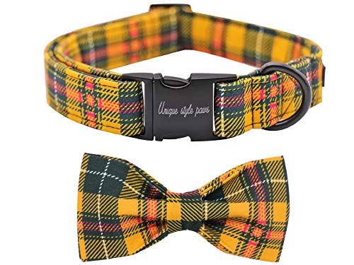 large dog collar with bow