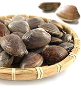 Amazon.co.jp: 島の人 あさり 北海道 厚岸産 活あさり 殻付き [ 中