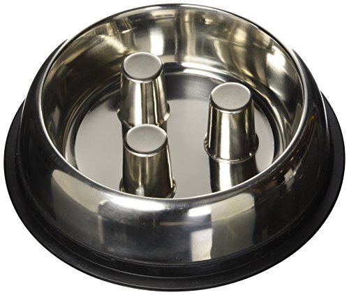 QT Dog Stainless Steel Brake-Fast Bowl, Medium, 64 Oz