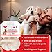 Amate Medicated Dog Wipes for Ear Skin & Coat - Pet Wipes for Dogs & Cats - 2.5” Small Wipes - Relieve Skin Issues, Hot Spots & Irritation - Pack of 50