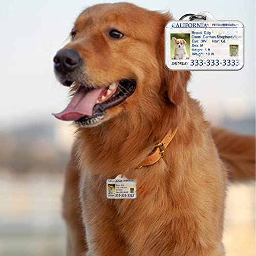Puplook Personalized Pet Driver License Id Tags thumb #3