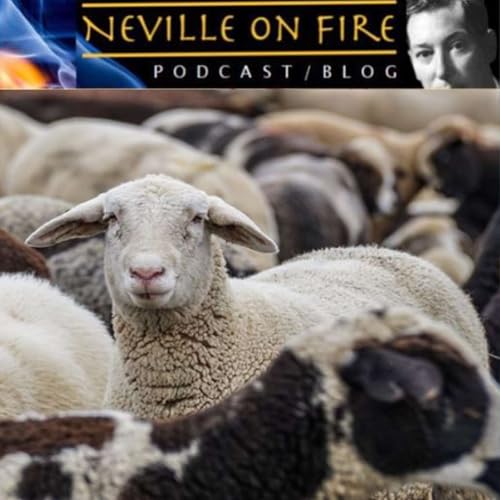 Mass Hypnosis Podcast Por  arte de portada