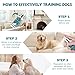 Enhanced Bitter Apple Spray for Dogs to Stop Chewing and Licking, No Chew Spray for Dogs, Alcohol Free/Non-Toxic, Stop Licking Wounds and Hot Spots, Protecting Furniture, Shoes, Bandages (Bitter)