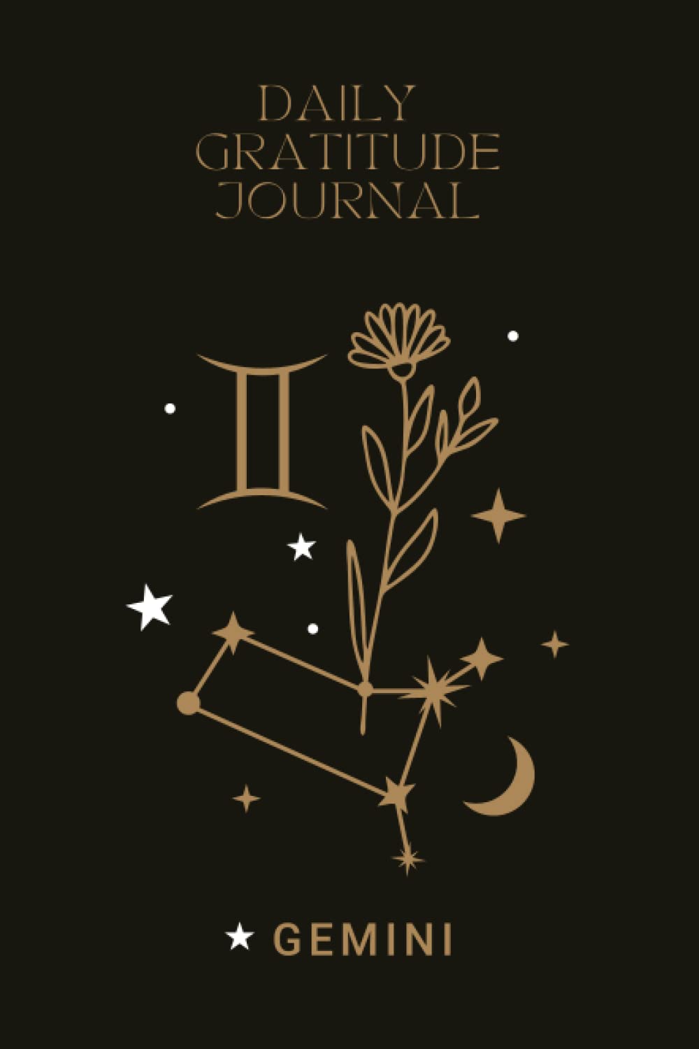 Independently published Daily Gratitude Journal: Gemini