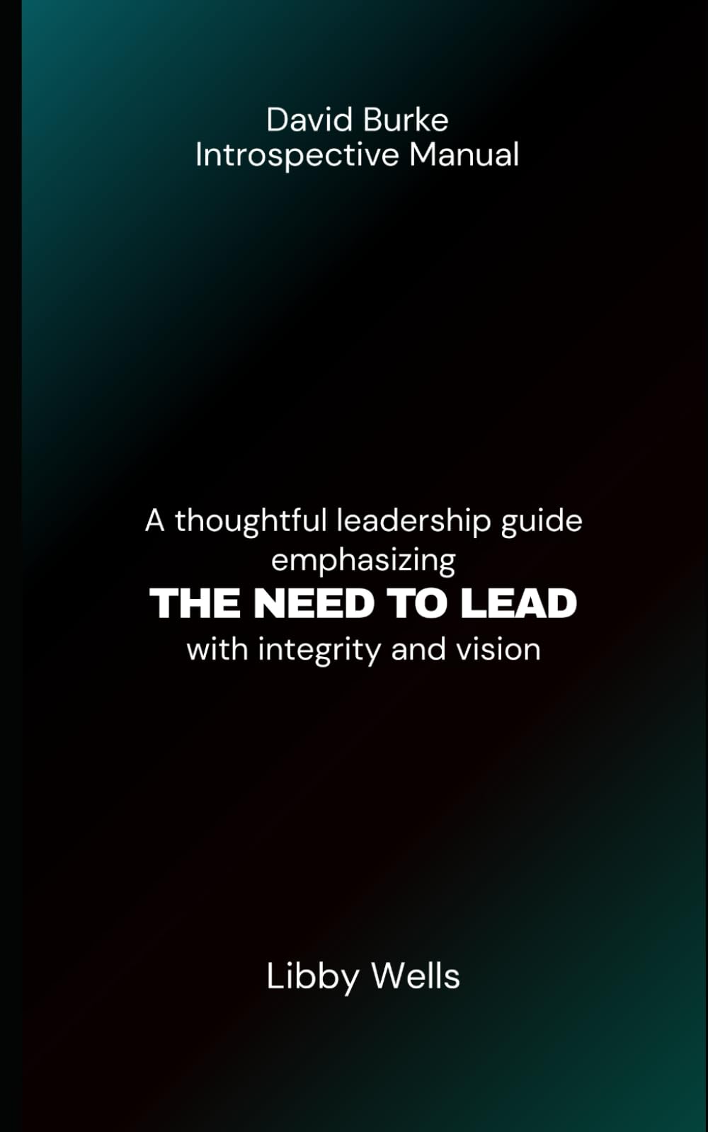 DAVID BURKE INTROSPECTIVE MANUAL: A thoughtful leadership guide emphasizing THE NEED TO LEAD with integrity and vision