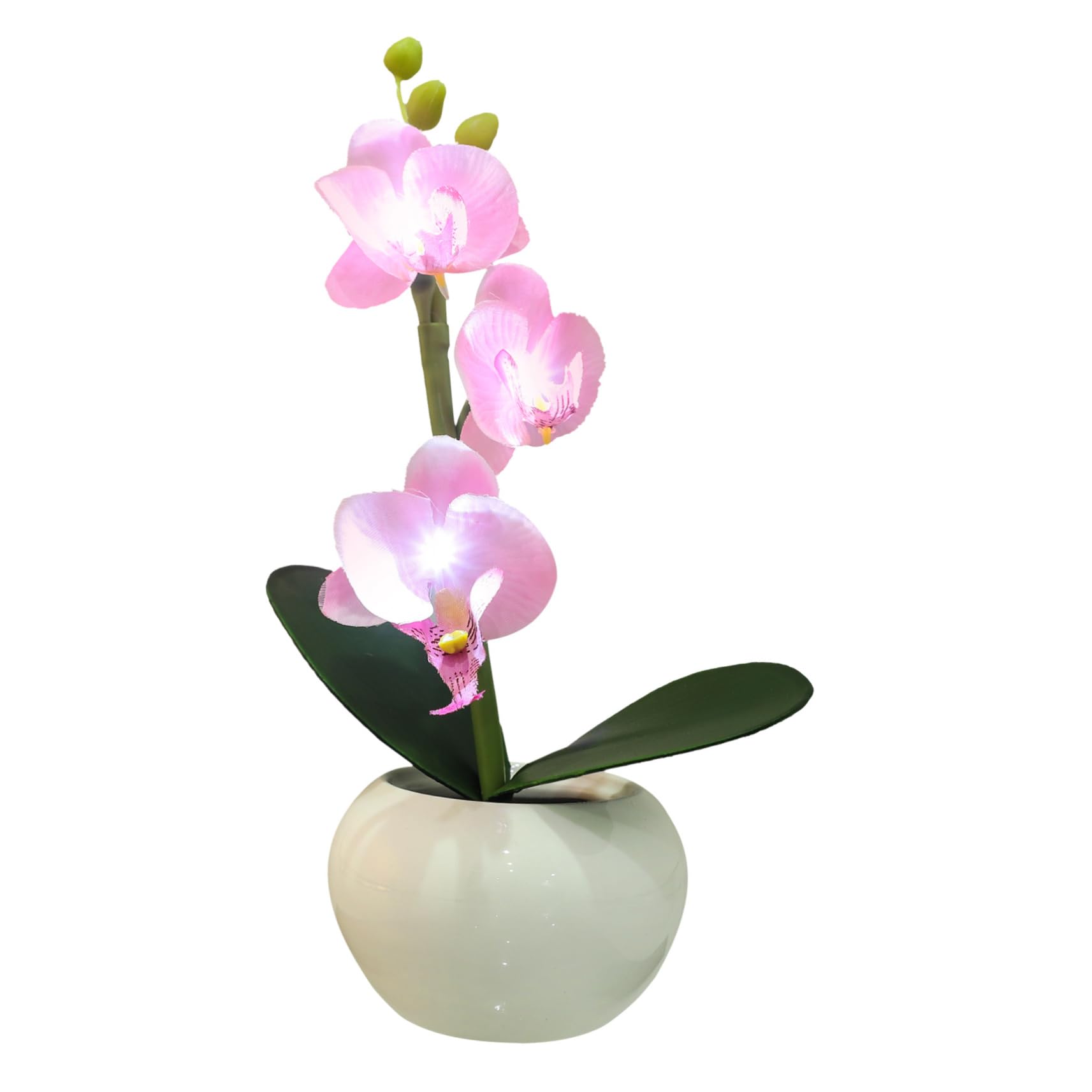 Zerodeko Luce LED Fiore in Vaso Rosa, Design Phalaenopsis, Ceramica | Riutilizzabile, Decorazione per Casa e Piazza Comunitaria, Forma Floreale Simulata