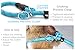 BAAPET 6 Feet Slip Lead Dog Leash Anti-Choking with Upgraded Durable Rope Cover and Comfortable Padded Handle for Large, Medium, Small Dogs Trainning with Poop Bags and Dispenser (Blue)