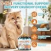 Cat Hairball Support Chews – 500 Crunchy & Creamy Texture Hairball Treats for Cats – Texture Indoor Feline Digestion Formula, Hairball Control & Cat Digestion Support, Chicken & Krill Flavor #2