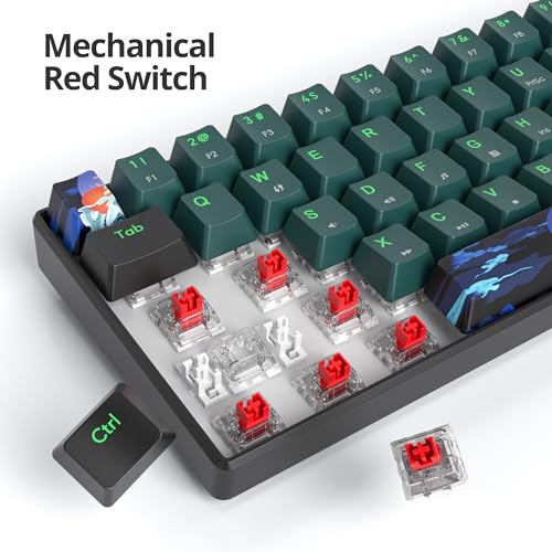 Image of 60 Percent Gaming Keyboard 60% Mechanical Keyboard LED Backlit Ultra Compact Wired Keyboard with Red Switch for Windows Laptop Gamer(61 Sound Wave)