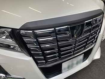 51v6dT5ufPL._AC_UF350,