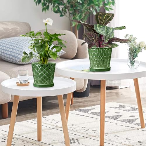 Encuentra reviews de Donde comprar macetas Top diez. 28 Imagen adicional