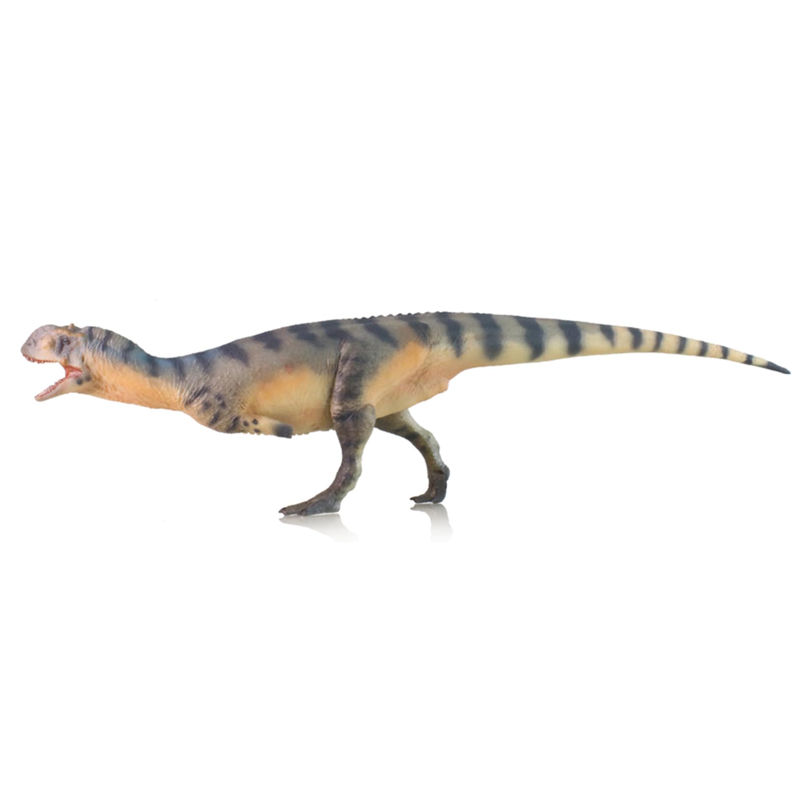 Majungasaurus modèle dinosaure 1:35 figurine animal collection décor maison AMITD HLG Studio