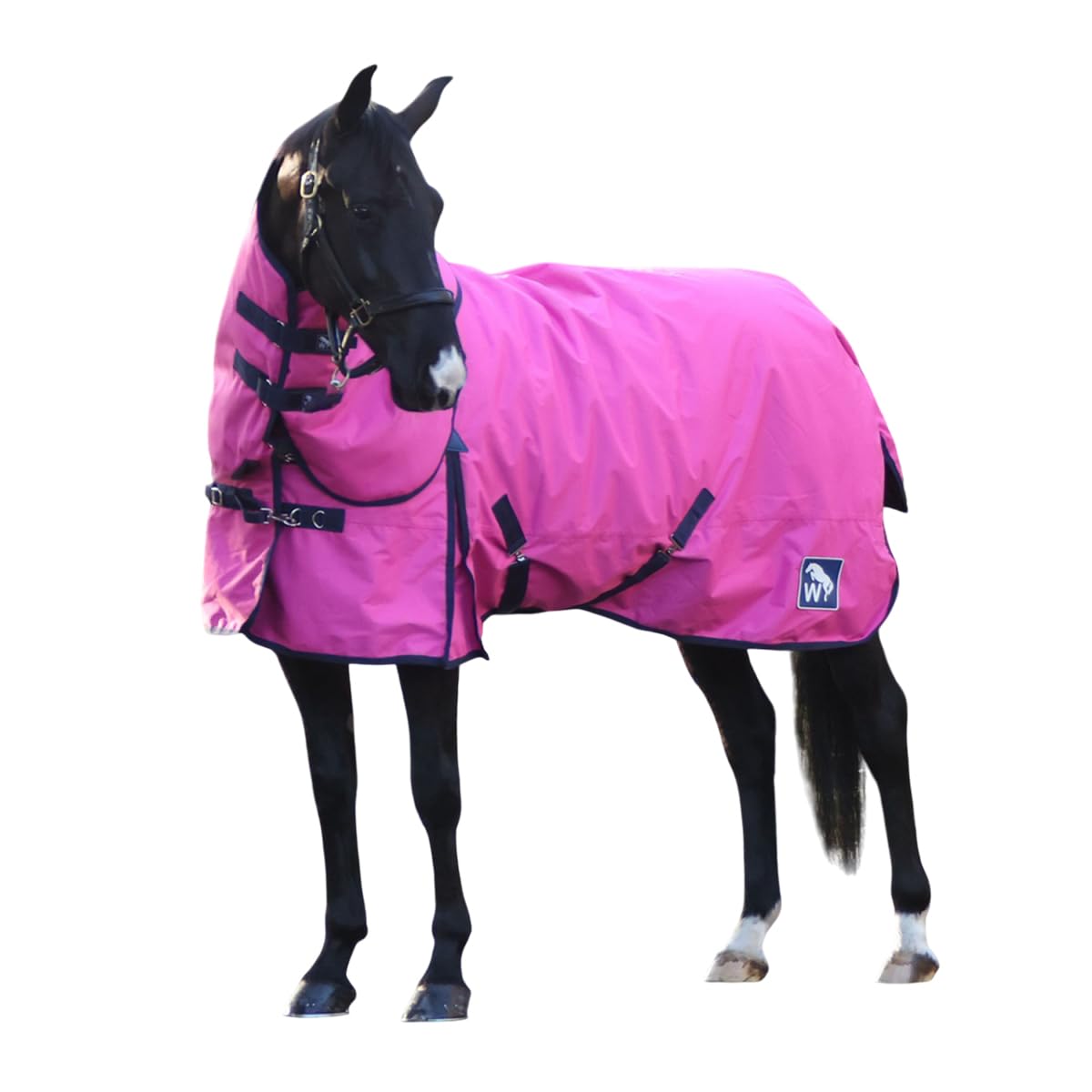 Herse de carrière équestre galvanisée LIDERFARM 2m00
